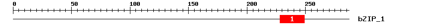 Signature Domain