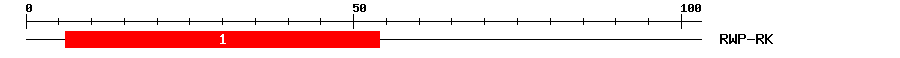Signature Domain