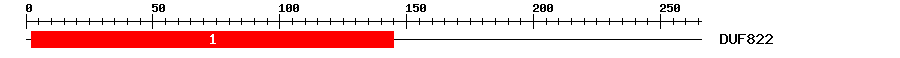 Signature Domain