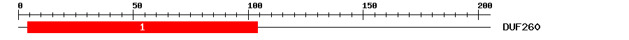 Signature Domain