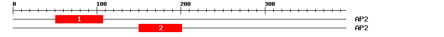 Signature Domain