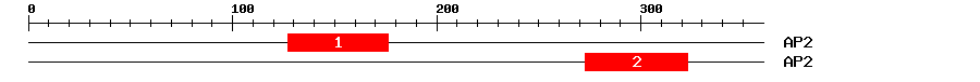 Signature Domain
