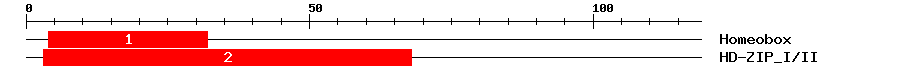 Signature Domain