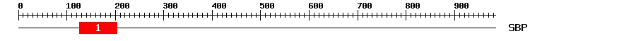 Signature Domain