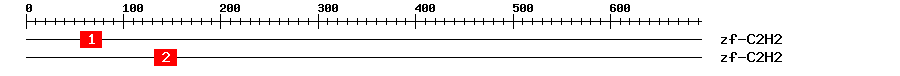 Signature Domain