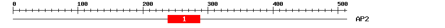 Signature Domain