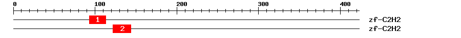 Signature Domain
