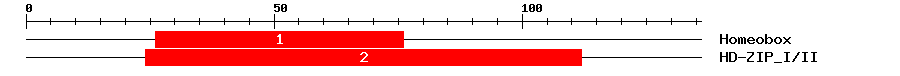 Signature Domain
