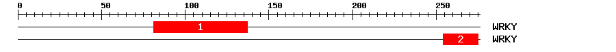 Signature Domain