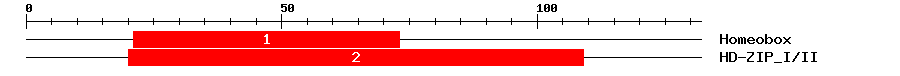 Signature Domain