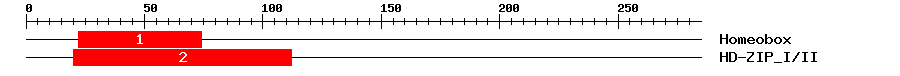Signature Domain
