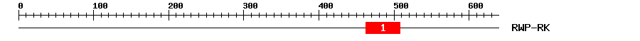 Signature Domain