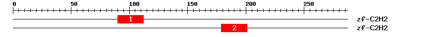 Signature Domain
