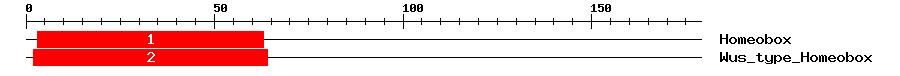 Signature Domain