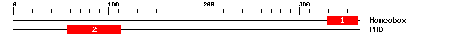 Signature Domain