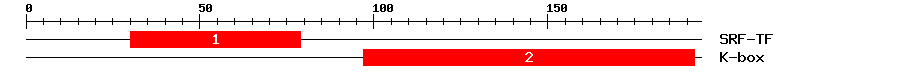 Signature Domain