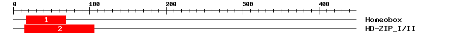 Signature Domain