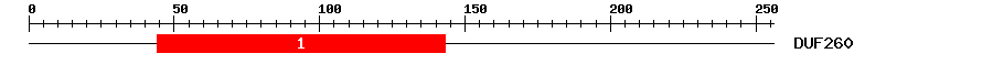 Signature Domain