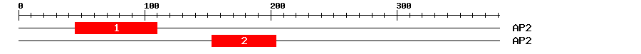 Signature Domain