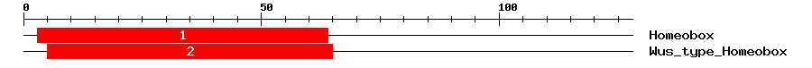 Signature Domain