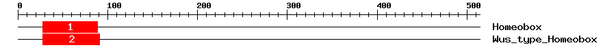 Signature Domain