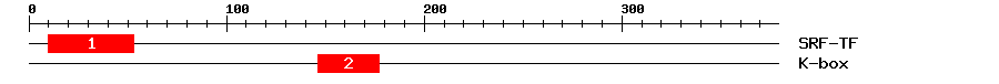 Signature Domain