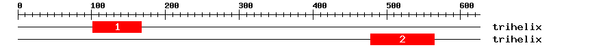 Signature Domain