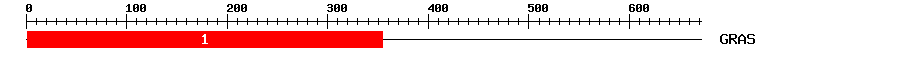 Signature Domain