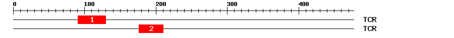 Signature Domain