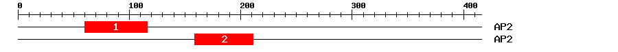 Signature Domain