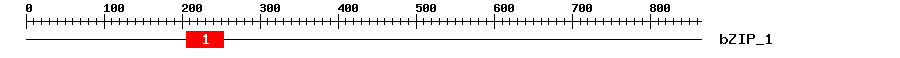 Signature Domain