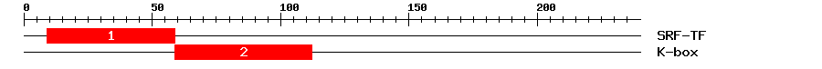 Signature Domain