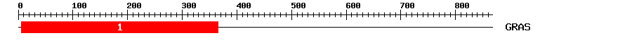 Signature Domain