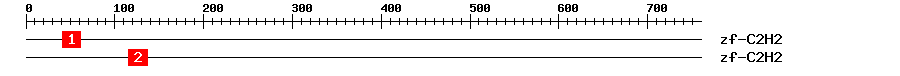 Signature Domain