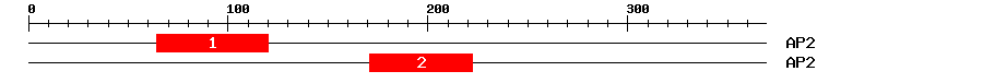 Signature Domain