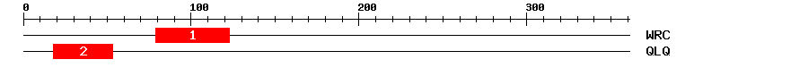 Signature Domain