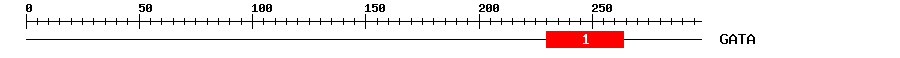 Signature Domain