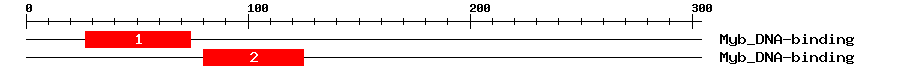 Signature Domain