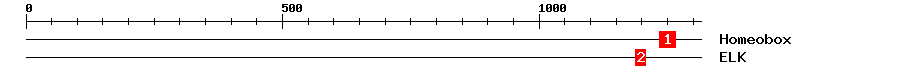 Signature Domain
