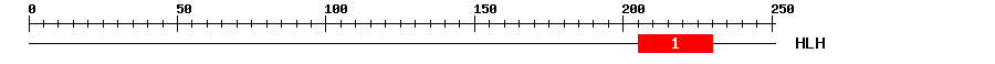 Signature Domain