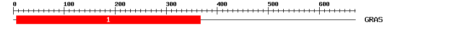 Signature Domain