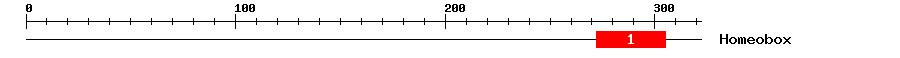 Signature Domain