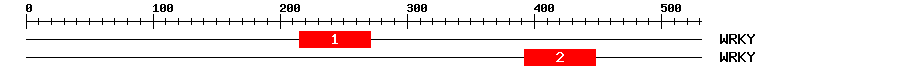 Signature Domain