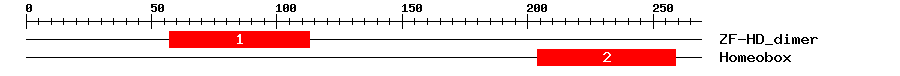 Signature Domain