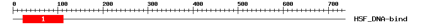 Signature Domain
