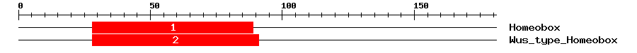 Signature Domain