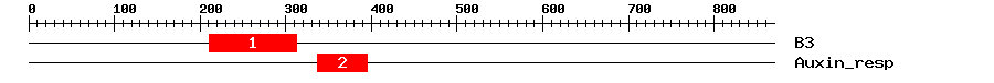 Signature Domain
