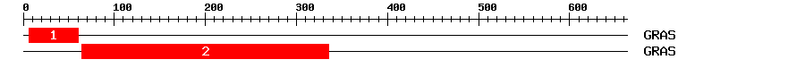 Signature Domain