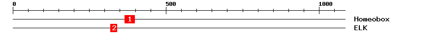 Signature Domain