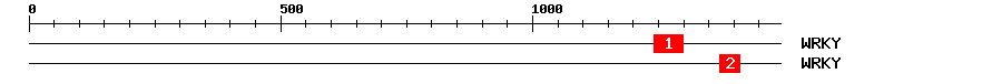 Signature Domain